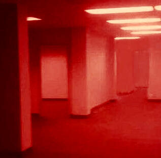 the backrooms but like all red walls (it’s basically filtered all red)